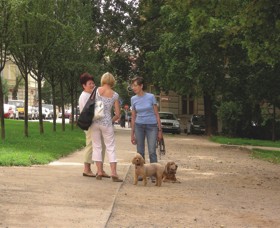 Když se lidé zdraví, setkávají a komunikují se svými známými nebo sousedy, prožívají hlubší pocit sounáležitosti k místu a jeho komunitě. Foto: archiv Nadace Partnerství.