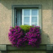 Šedivá či zelená, kat. Okno - balkon