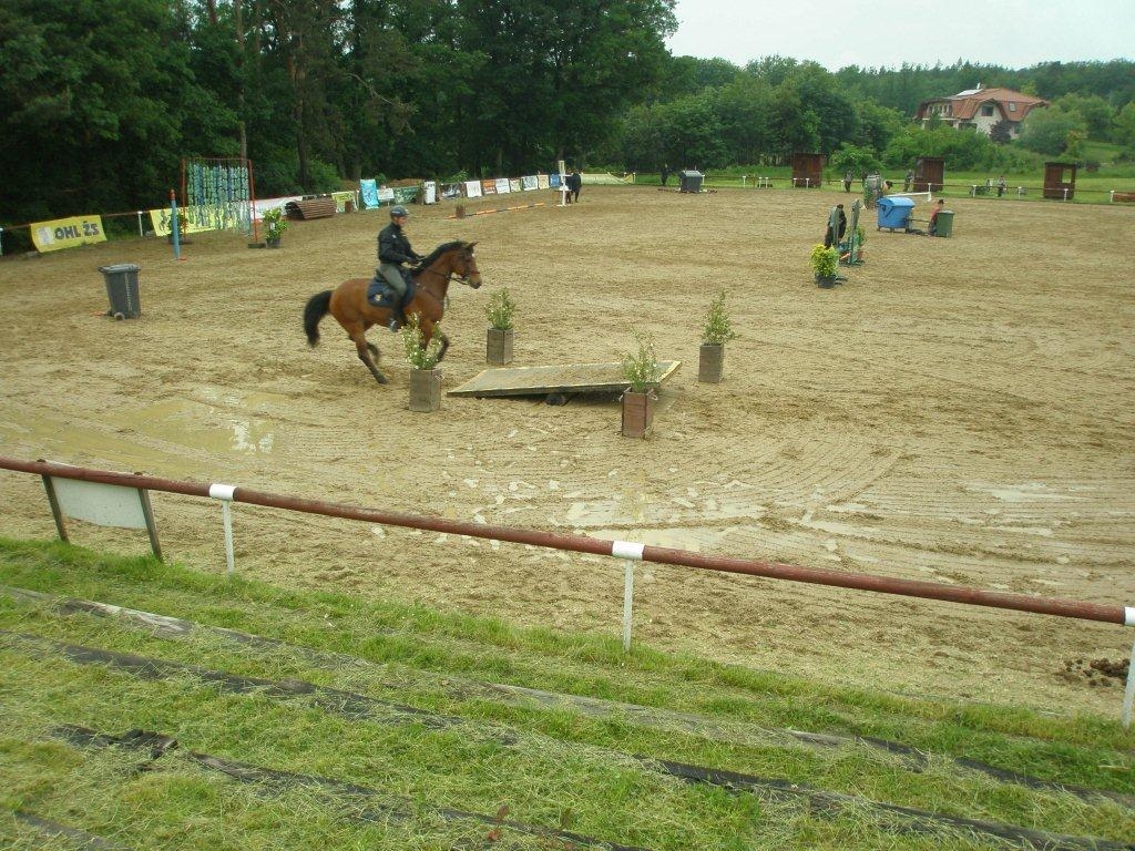 PM ČR v jízdě na koni2