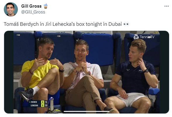 Lehečka Berdych.jpg