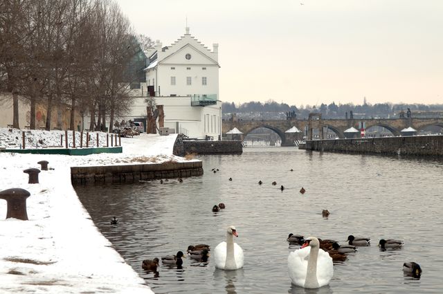 Zimní Praha od Sovových Mlýnů - Prague in winter - 8.1.2009